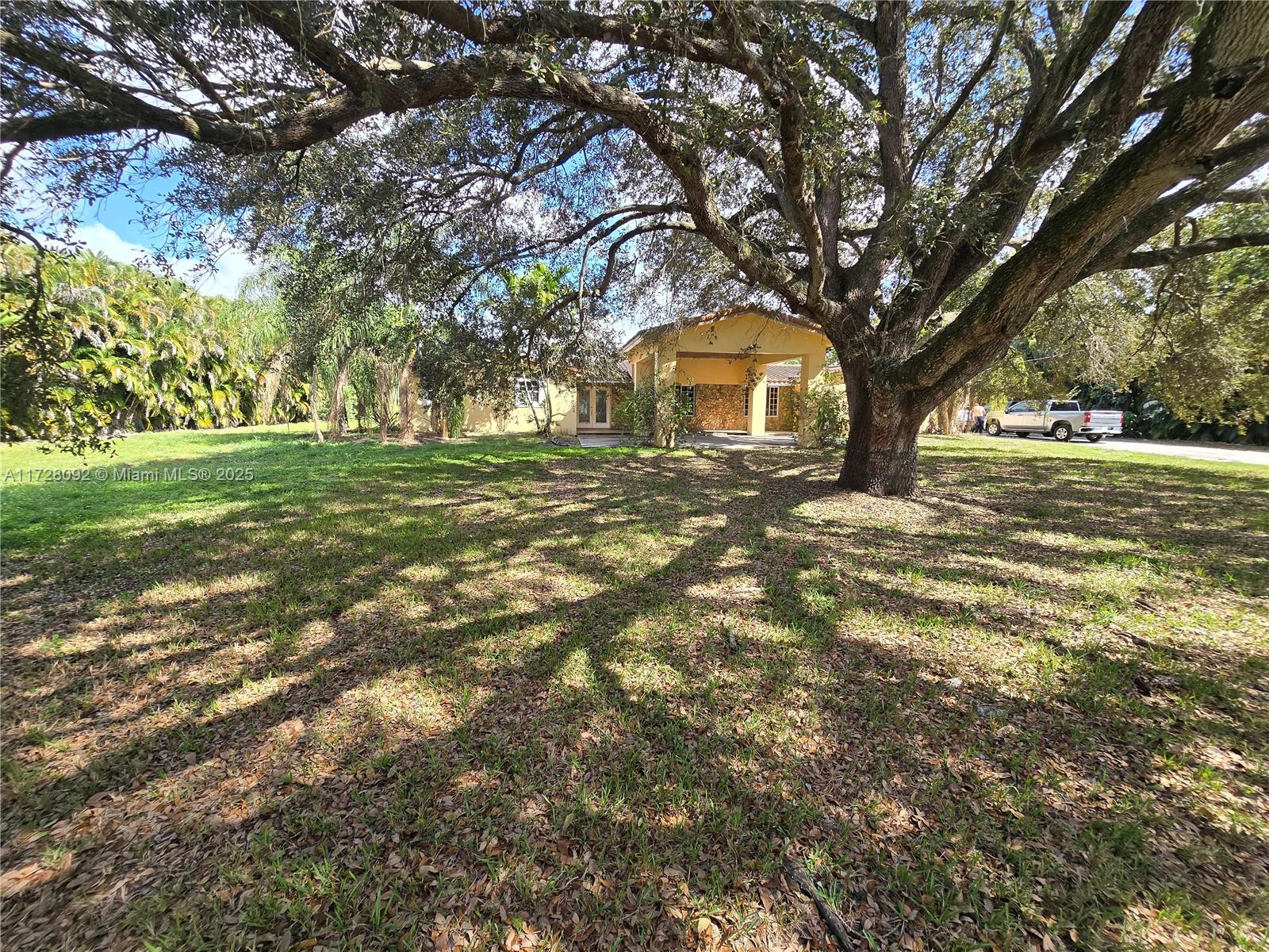 Country Club Ranches Miramar, FL 33027 - Photo 8 of 29 a large tree in middle of green field
