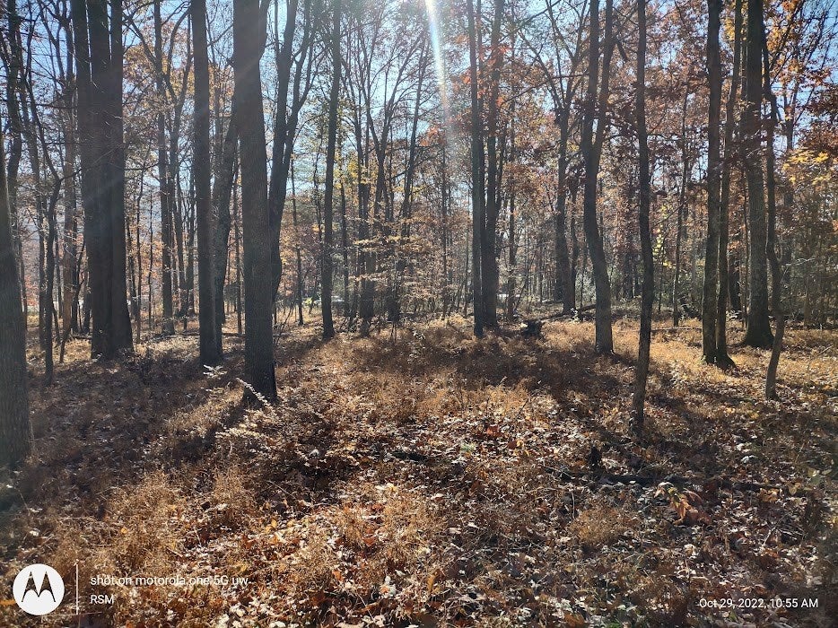 5431-35 Book Road Robertsdale, PA 16674 - Photo 21 of 23 Gallery Image 21