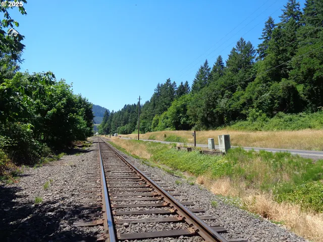 $59,900 | 0 North 1st Street, Drain, OR 97435