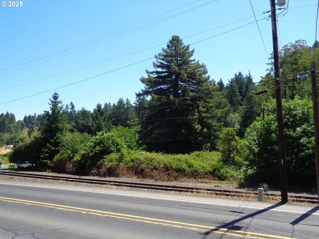 $59,900 | 0 North 1st Street, Drain, OR 97435
