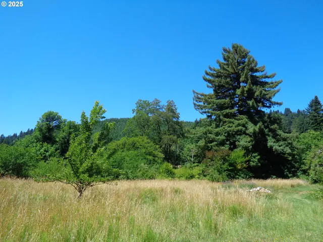 $59,900 | 0 North 1st Street, Drain, OR 97435