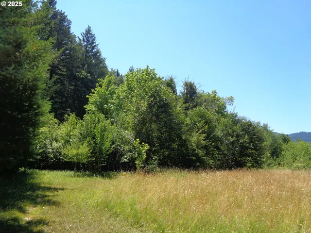 $59,900 | 0 North 1st Street, Drain, OR 97435