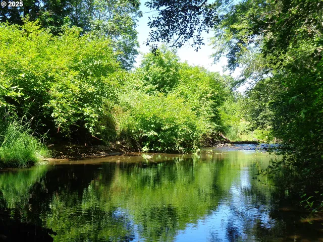 $59,900 | 0 North 1st Street, Drain, OR 97435