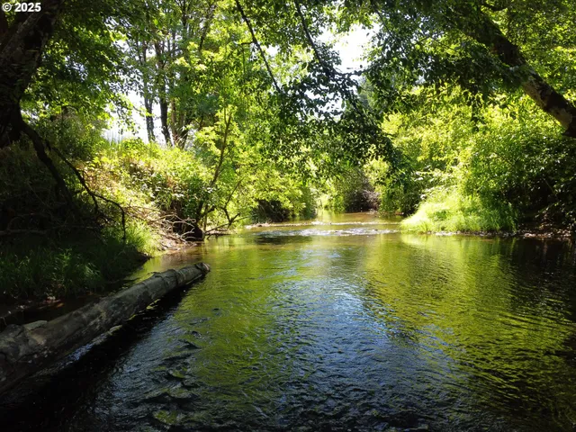 $59,900 | 0 North 1st Street, Drain, OR 97435