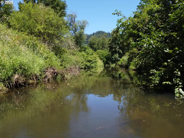 $59,900 | 0 North 1st Street, Drain, OR 97435