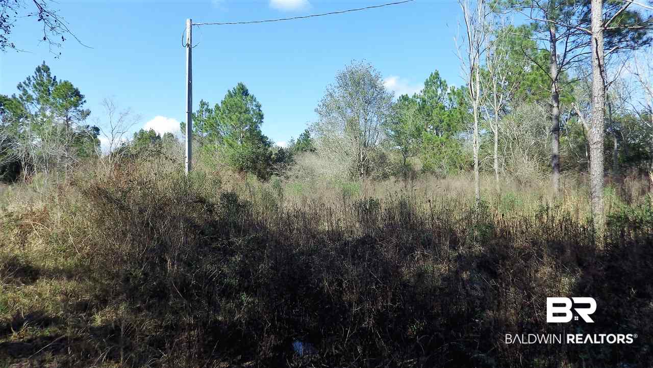 26665 Bruhn Road Elberta, AL 36530 - Photo 2 of 8