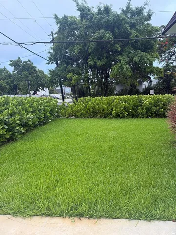 a view of a garden with a tree