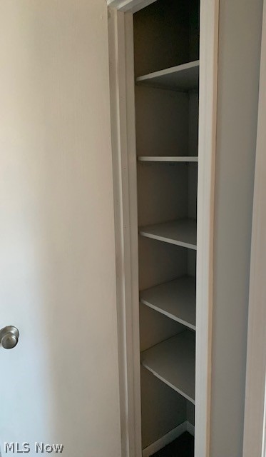 2500 Cleveland Road, Unit 301 Wooster, OH 44691 - Photo 9 of 12 Linen closet