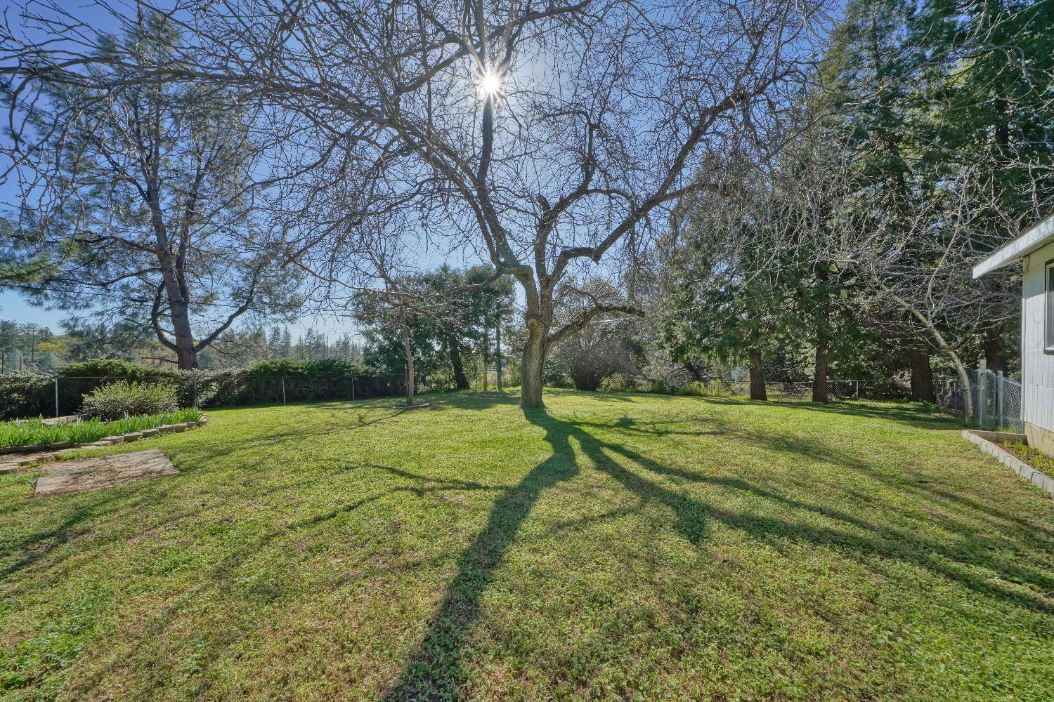 6261 Grizzly Flat Road Somerset, CA 95684 - Photo 16 of 63