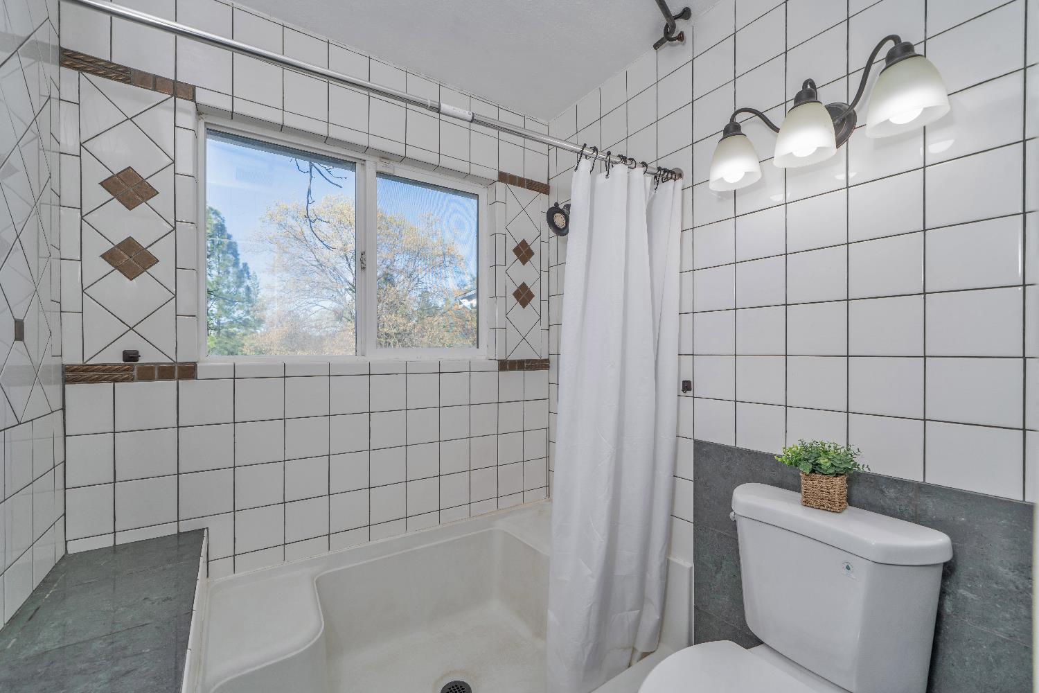 6261 Grizzly Flat Road Somerset, CA 95684 - Photo 33 of 63 a bathroom with a shower and toilet