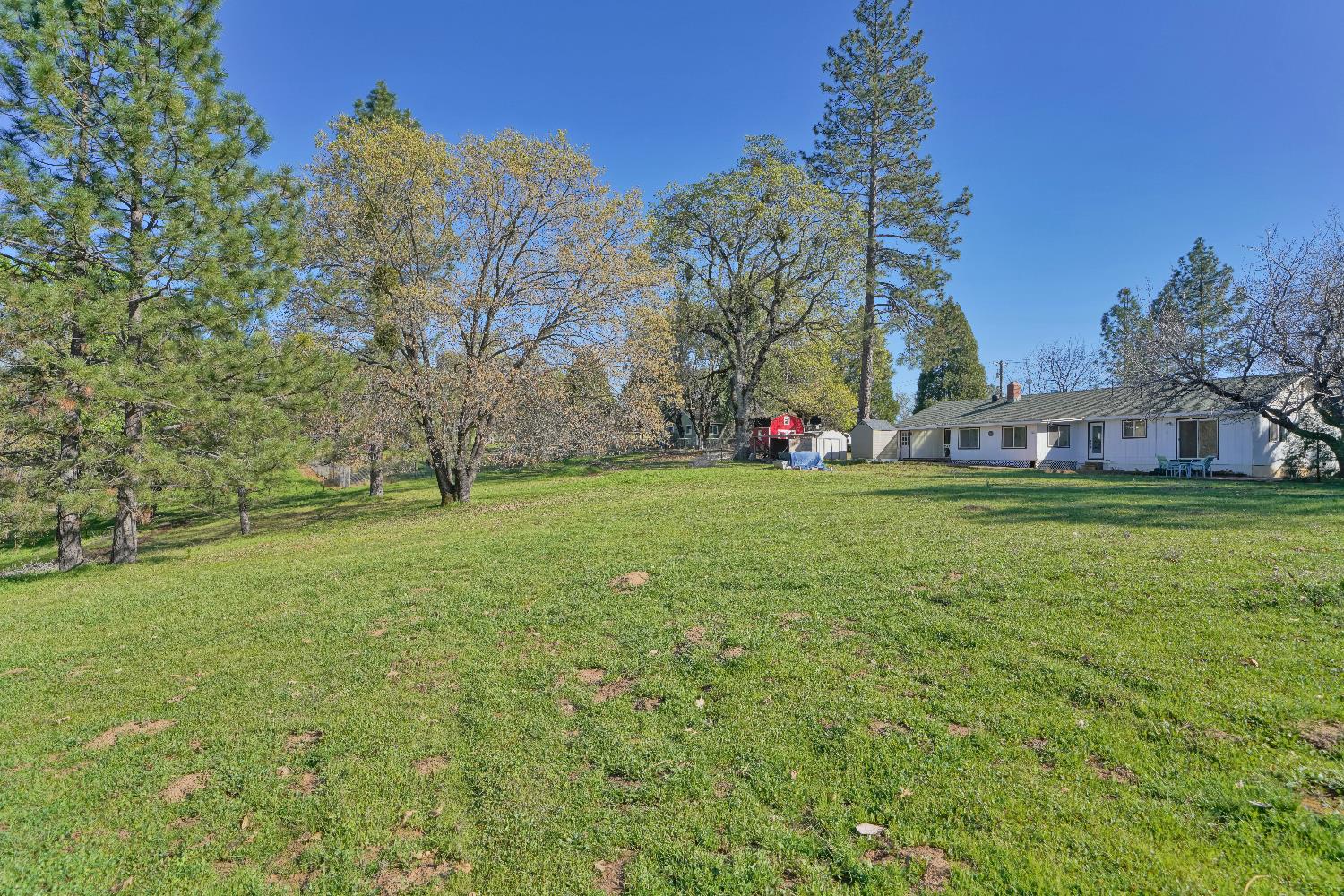 6261 Grizzly Flat Road Somerset, CA 95684 - Photo 4 of 63 a view of a park with large trees