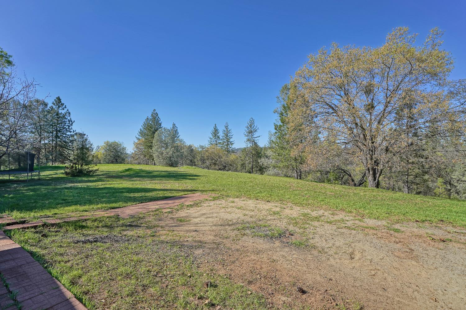 6261 Grizzly Flat Road Somerset, CA 95684 - Photo 50 of 63 a view of a field with trees in the background