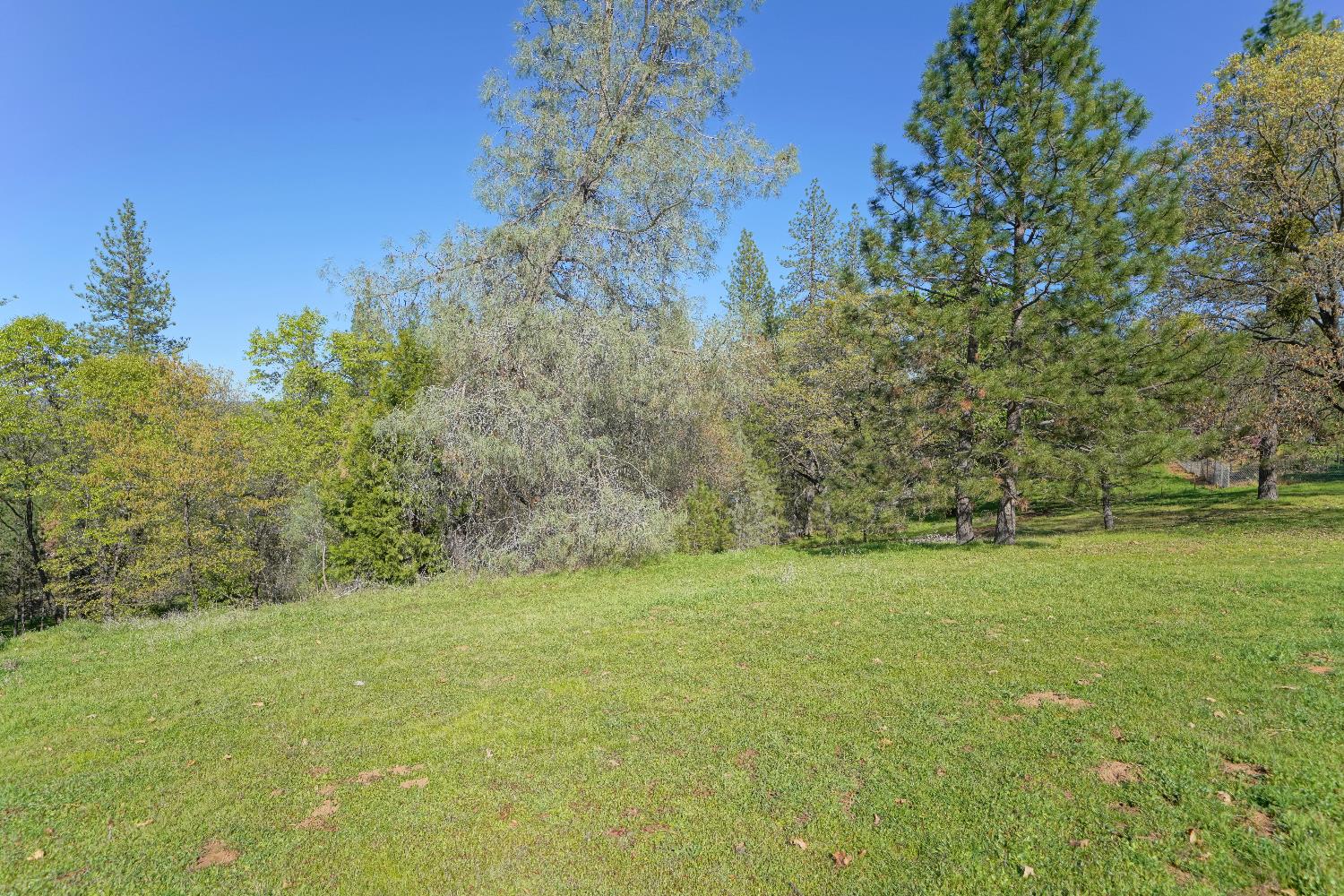 6261 Grizzly Flat Road Somerset, CA 95684 - Photo 56 of 63