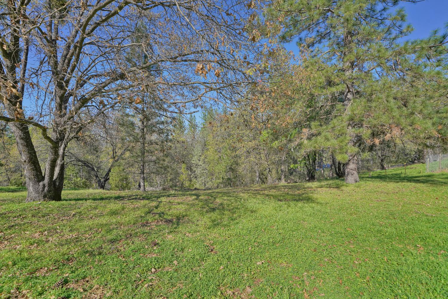 6261 Grizzly Flat Road Somerset, CA 95684 - Photo 59 of 63