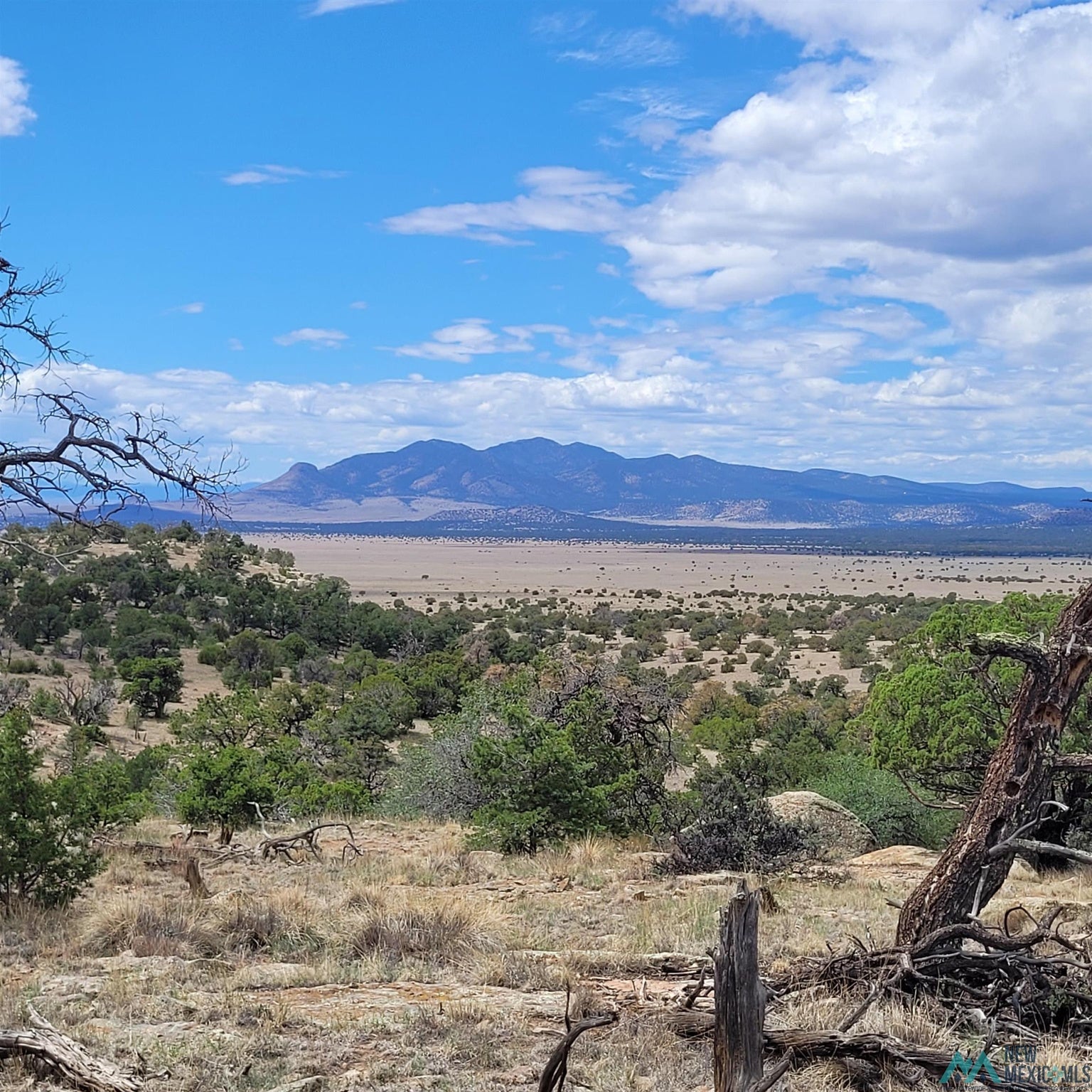 0 Lookout Loop, Unit 89 Datil, NM 87821 - Photo 1 of 38 Gallery Image 1