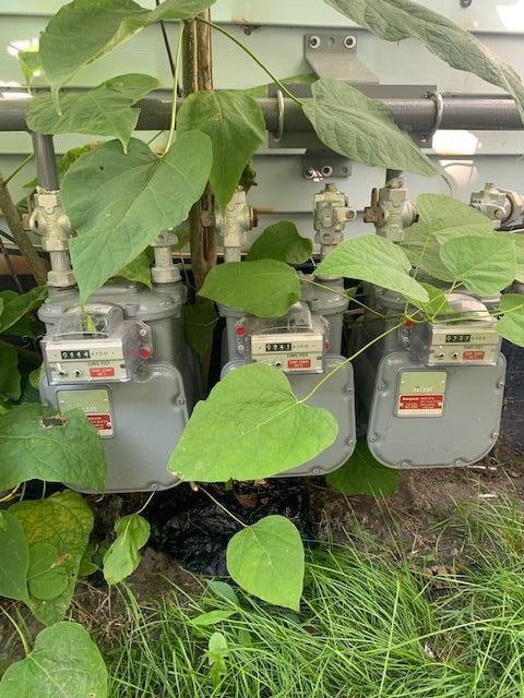 822 Wall Street Port Huron, MI 48060 - Photo 13 of 13 IMG_8388