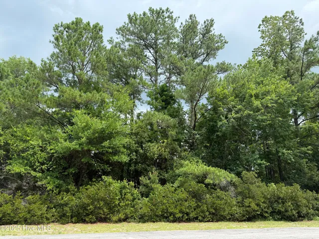 $24,000 | 103 Lighthouse Lane, New Bern, NC 28560