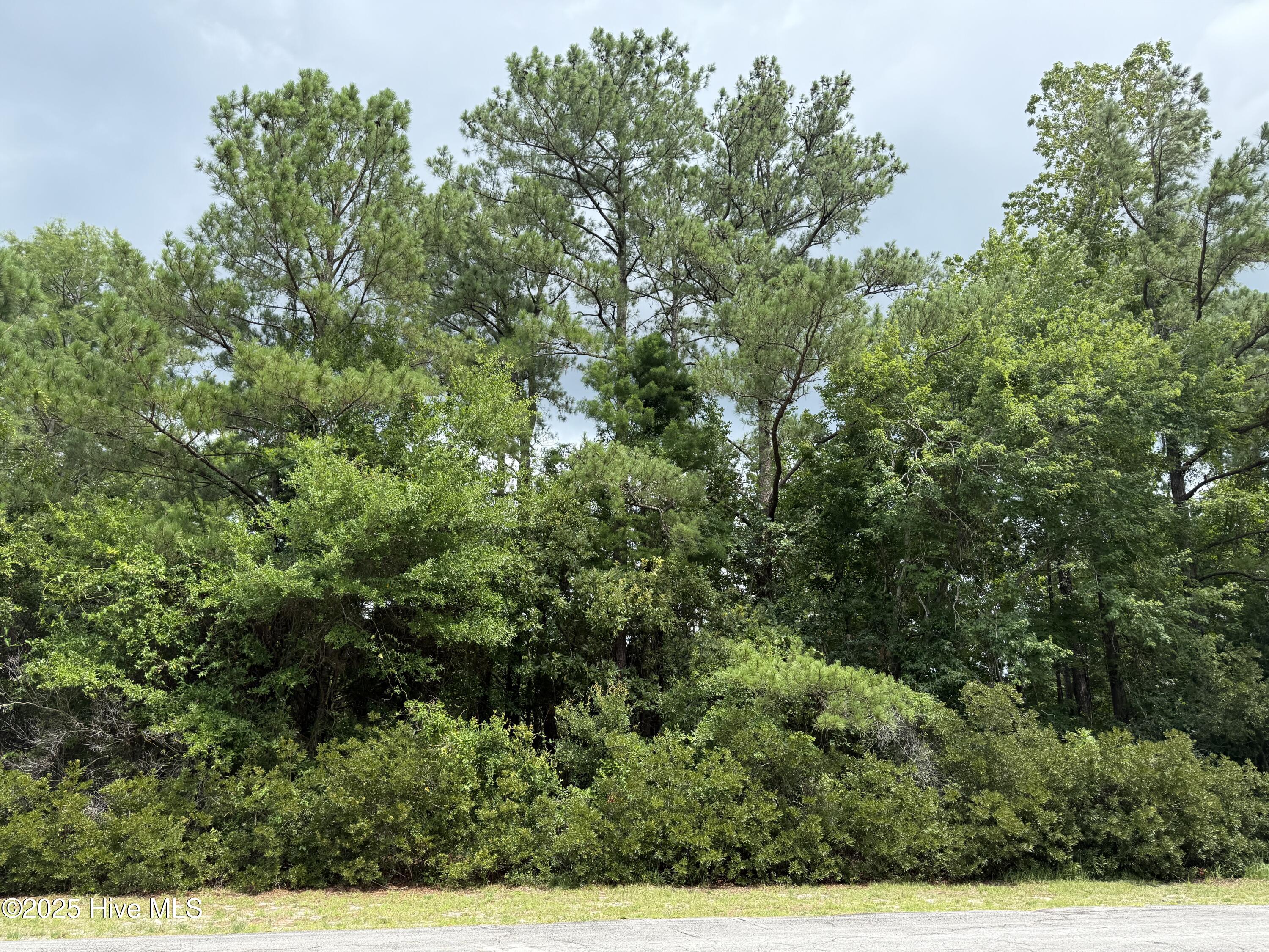 103 Lighthouse Lane New Bern, NC 28560 - Photo 2 of 3 IMG_1054