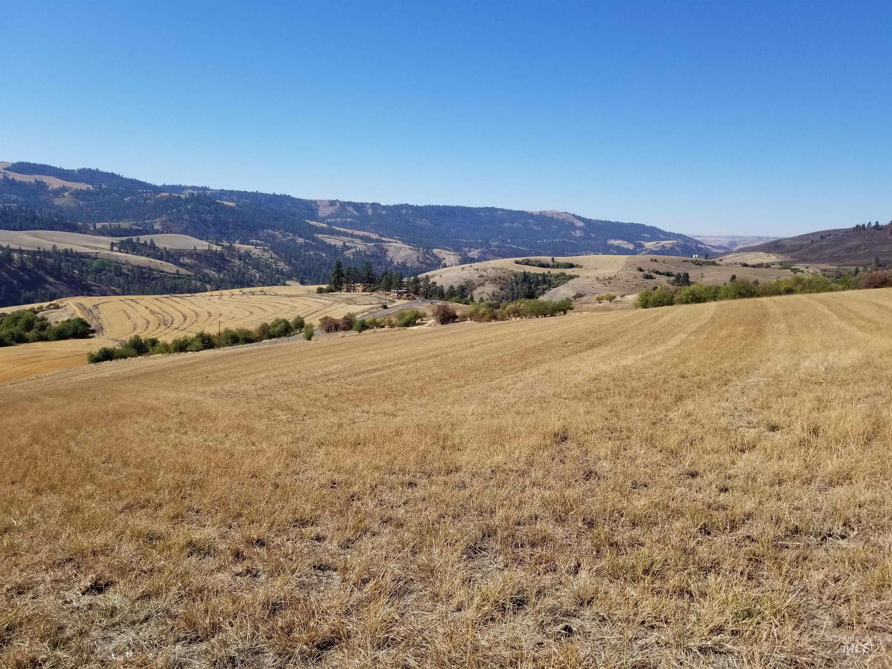 Tbd Sunnyside Bench Road Lenore, ID 83541 - Photo 19 of 37 Gallery Image 19