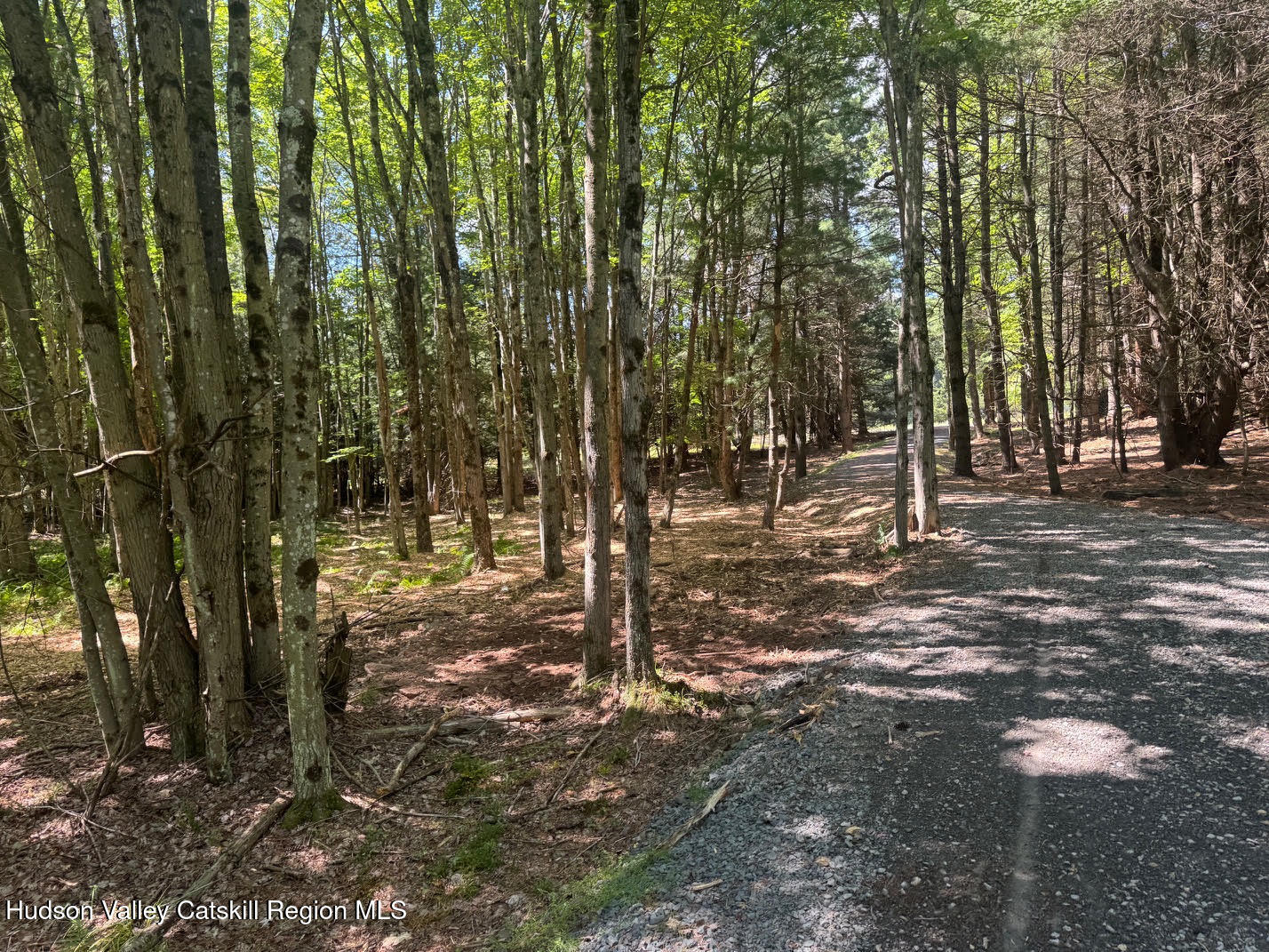 0 Deer Run Road Prattsville, NY 12468 - Photo 4 of 21 B7