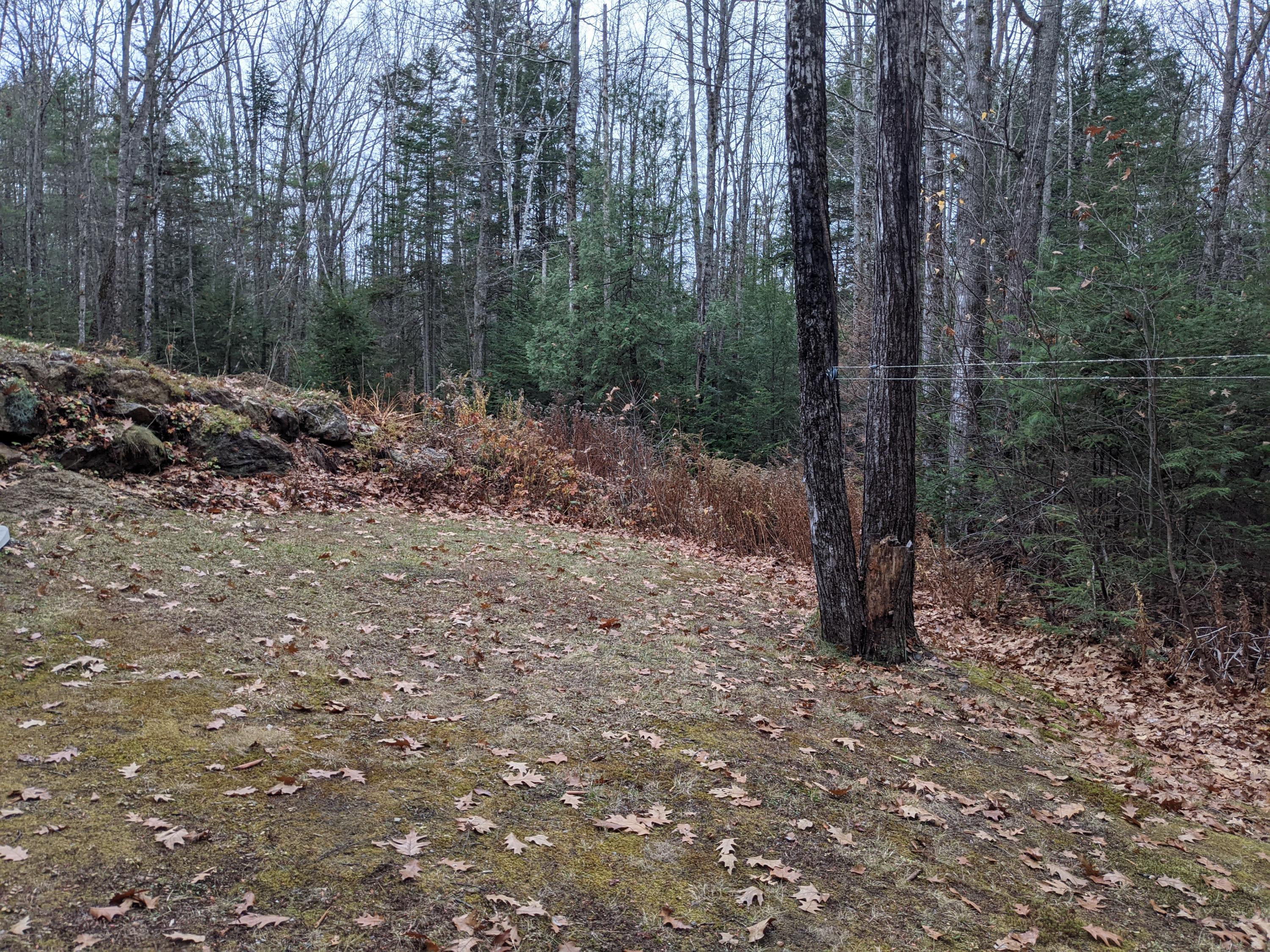 1522 Middle Road Woolwich, ME 04579 - Photo 13 of 39 PXL_20201111_201528786