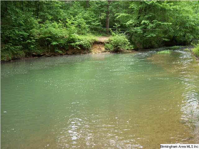 Narrows Road, Unit 168 Remlap, AL 35133 - Photo 4 of 21