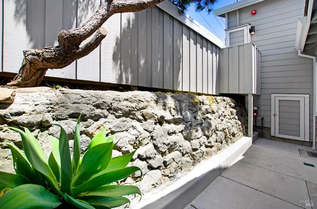 a view of a bird bath