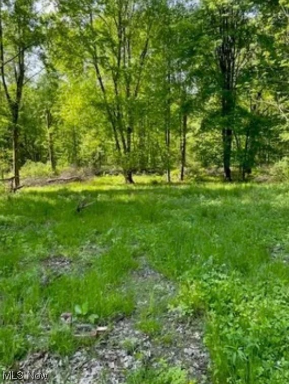 4767 Cooper Road Lowellville, OH 44436 - Photo 4 of 4 Gallery Image 4