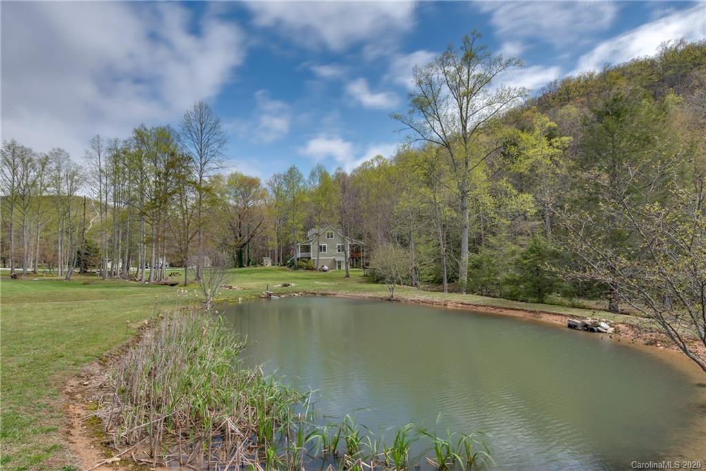 668 Wash Freeman Road Hendersonville, NC 28792 - Photo 33 of 47 Gallery Image 33