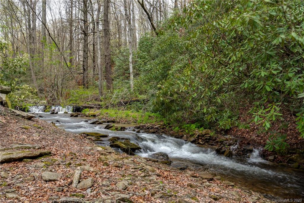 668 Wash Freeman Road Hendersonville, NC 28792 - Photo 40 of 47 Gallery Image 40