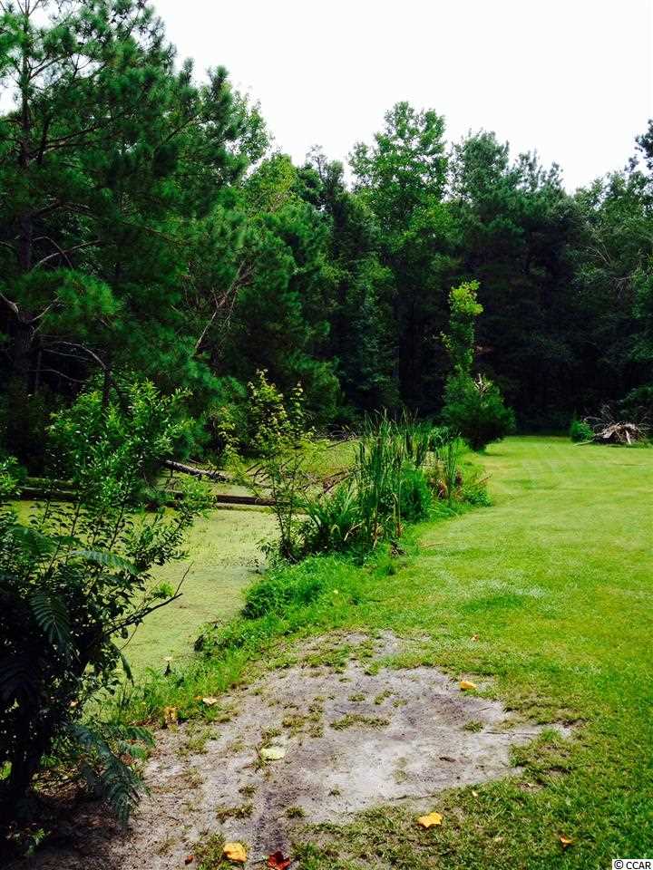 1045 Highway 348 Loris, SC 29569 - Photo 14 of 16 Gallery Image 14