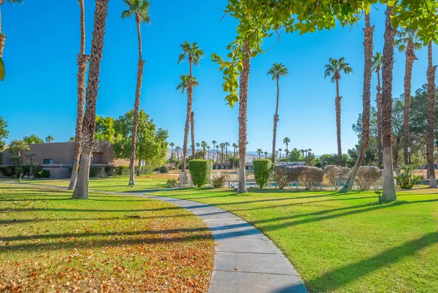 a view of a park with palm trees