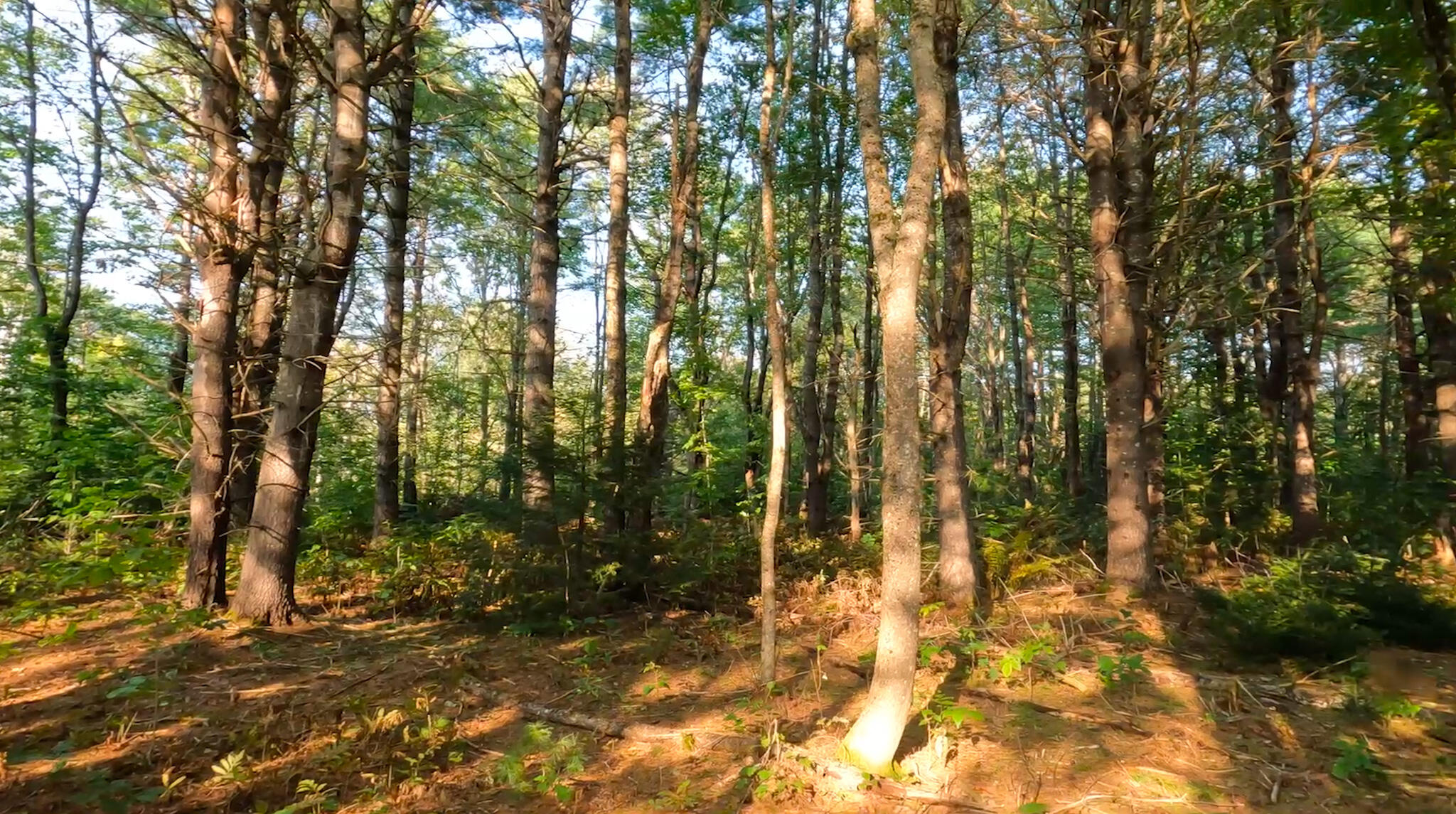 2 River Road Lagrange, ME 04453 - Photo 11 of 13 Screenshot 2023-09-26 at 11.49.16 AM