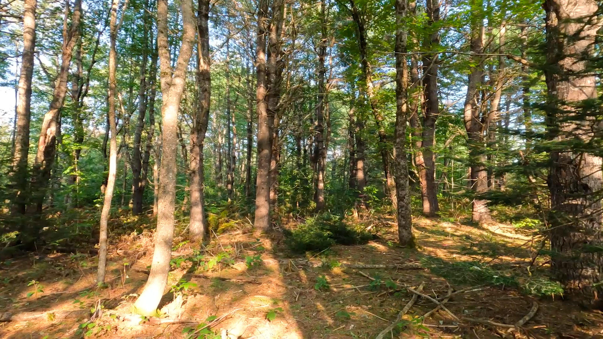 2 River Road Lagrange, ME 04453 - Photo 8 of 13 Screenshot 2023-09-26 at 11.48.31 AM