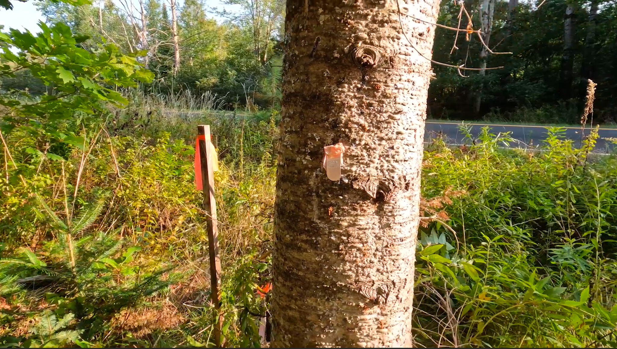 2 River Road Lagrange, ME 04453 - Photo 9 of 13 Screenshot 2023-09-26 at 11.48.54 AM