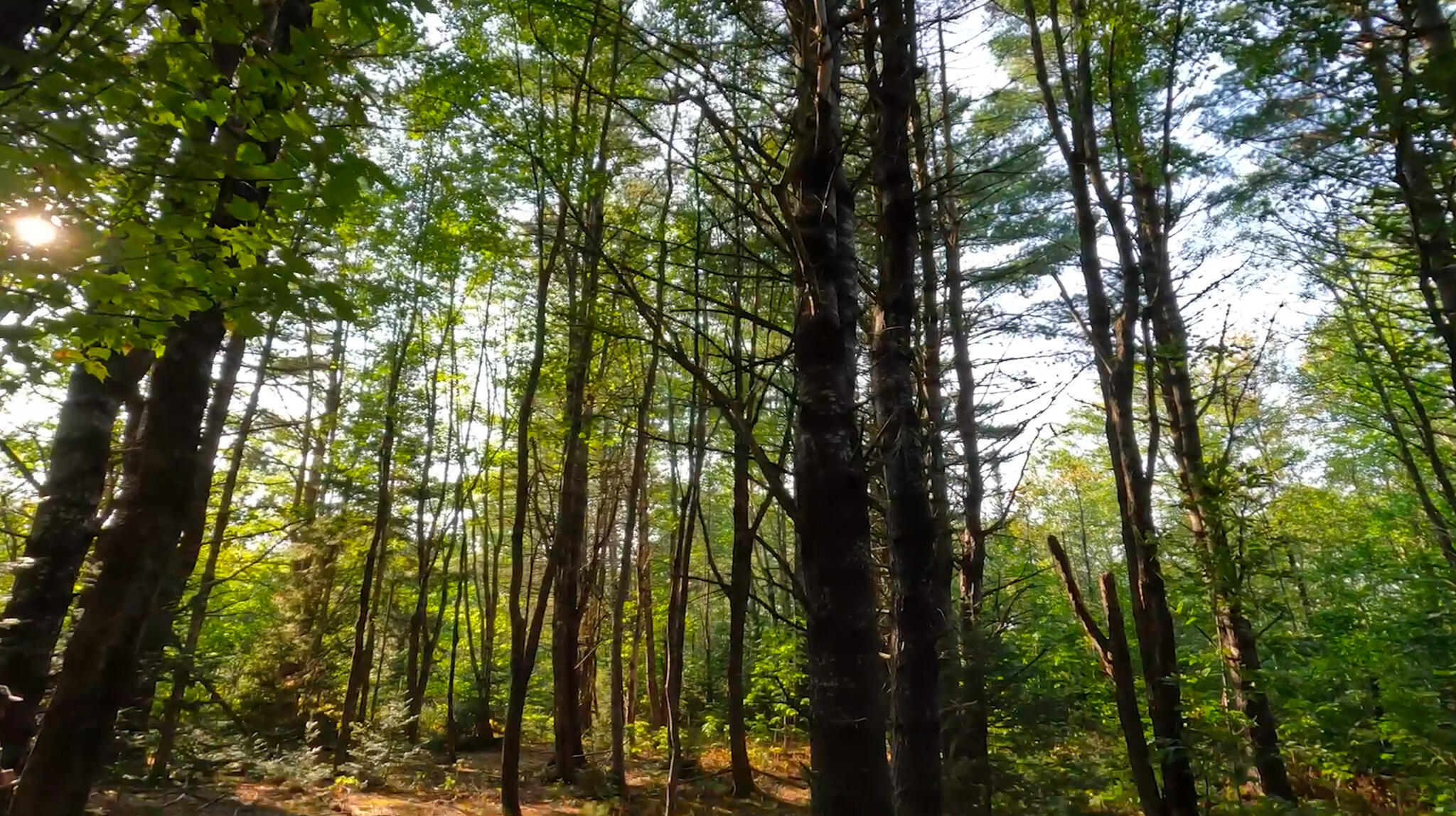 2 River Road Lagrange, ME 04453 - Photo 10 of 13 Screenshot 2023-09-26 at 11.49.06 AM