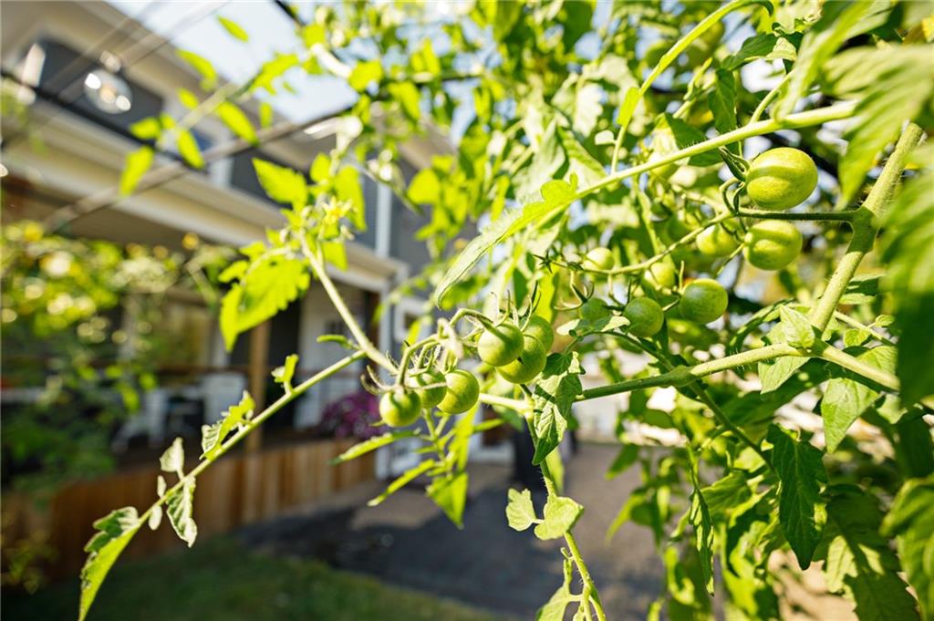 709 West Crowder Road Trenton, MO 64683 - Photo 35 of 41