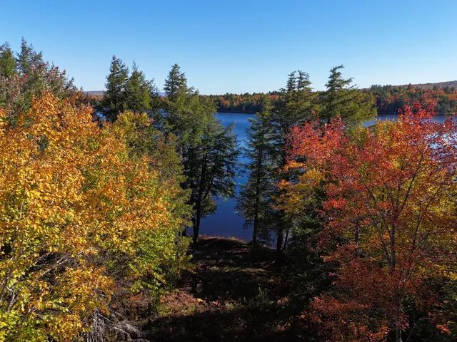 $219,000 | 162.7 Collins Drive, New Vineyard, ME 04983