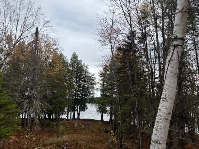 $219,000 | 162.7 Collins Drive, New Vineyard, ME 04983