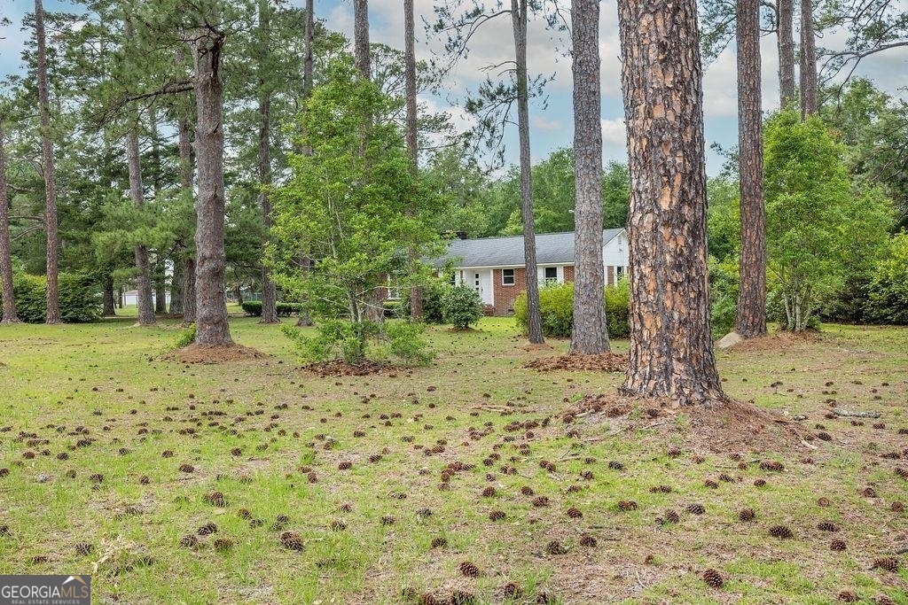 405 Springfield Avenue Guyton, GA 31312 - Photo 37 of 39 a backyard of a house with lots of green space