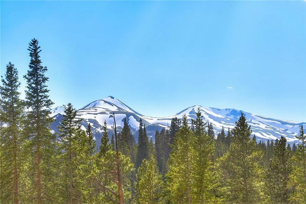 103 Co 529 Road Breckenridge, CO 80424 - Photo 5 of 34