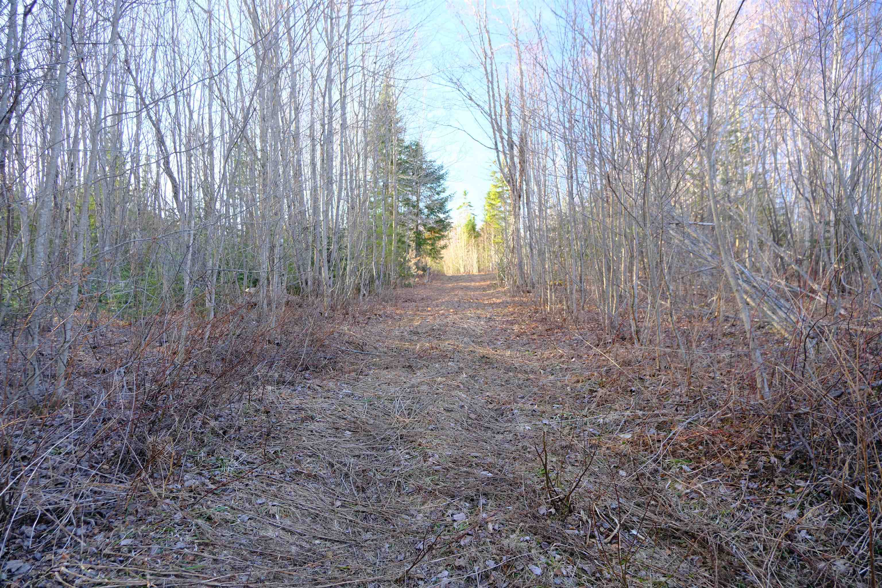 208 Drake Pl Road Sheffield, VT 05866 - Photo 8 of 27
