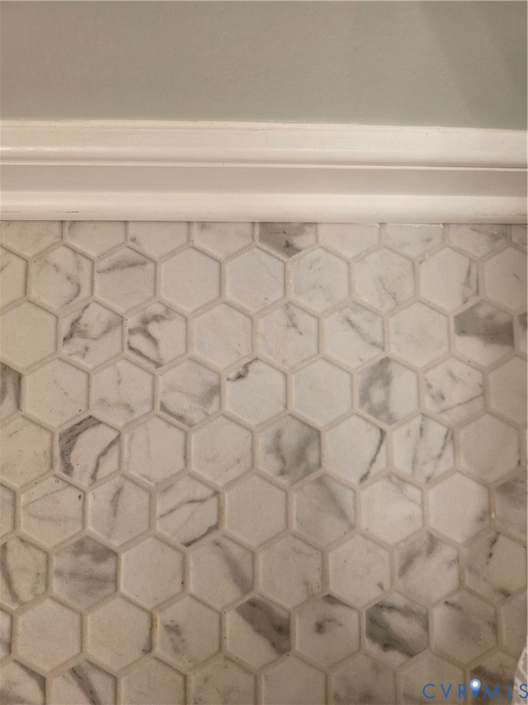 8511 Peaks Road Hanover, VA 23069 - Photo 46 of 48 a close up of a white shower