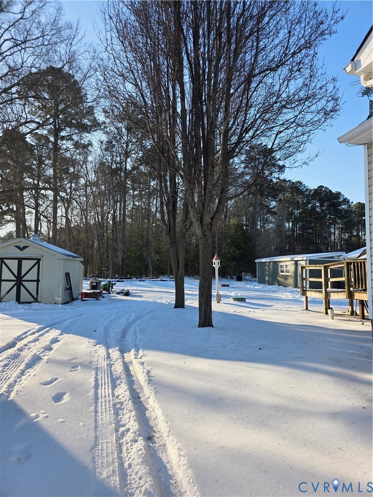 8511 Peaks Road Hanover, VA 23069 - Photo 6 of 48 a view of a patio with a large tree