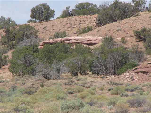 331 County Road Concho, AZ 85924 - Photo 2 of 5