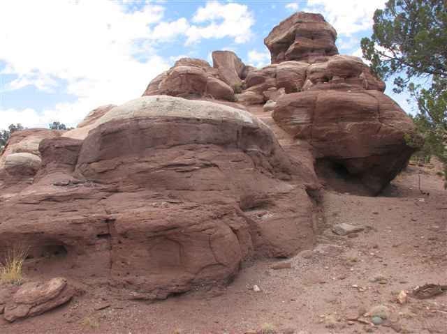 331 County Road Concho, AZ 85924 - Photo 4 of 5