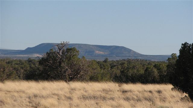 331 County Road Concho, AZ 85924 - Photo 5 of 5