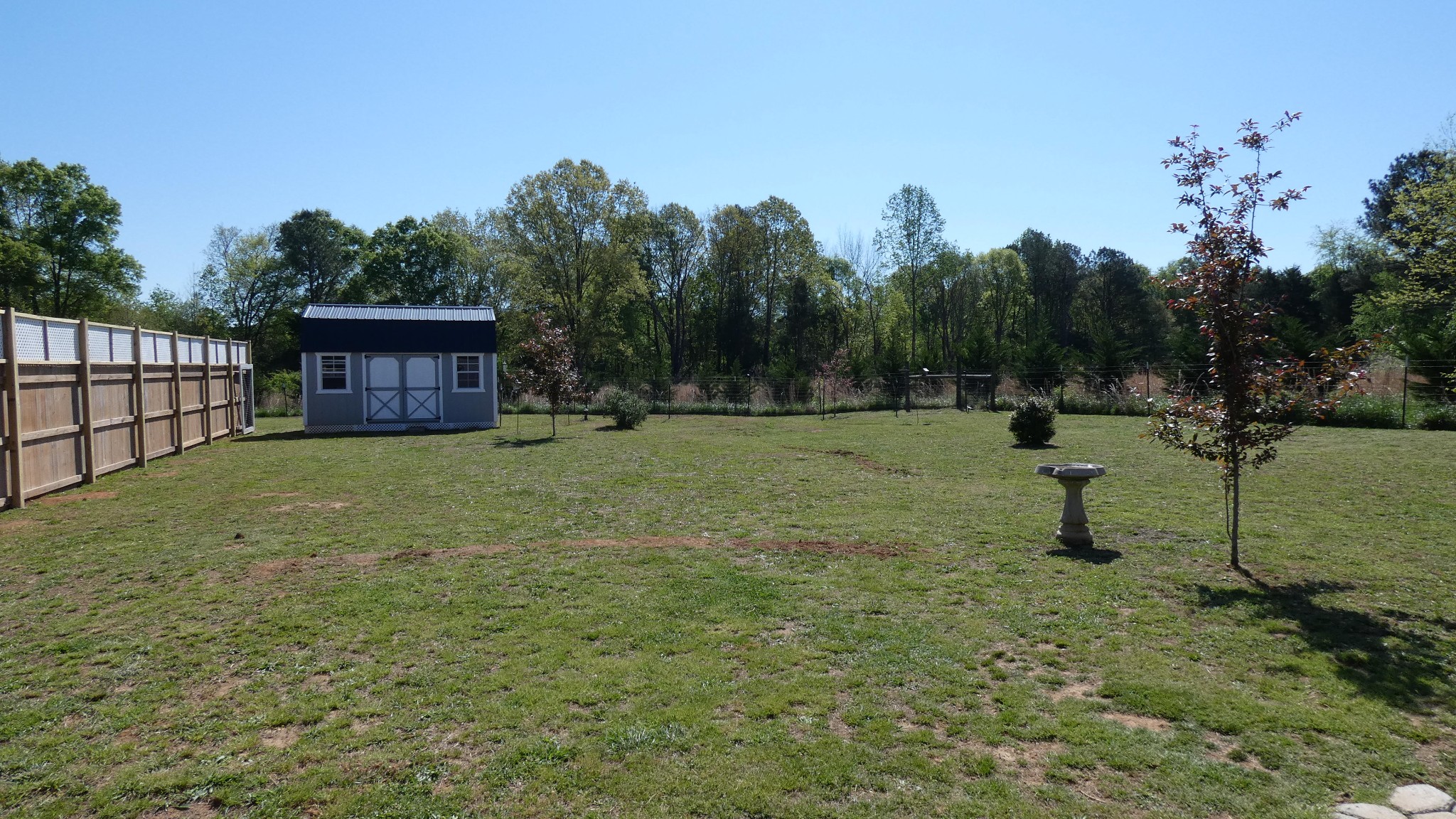 51 Robertson Hollow Road Taft, TN 38488 - Photo 9 of 41 Gallery Image 9