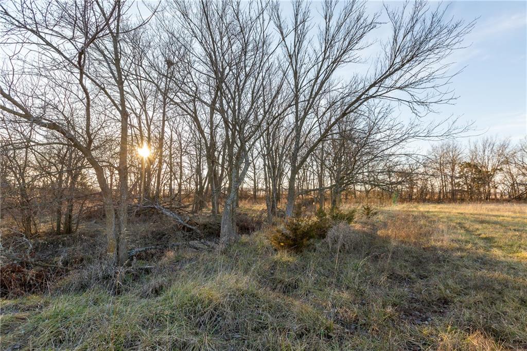 30432 1150 Road Kincaid, KS 66039 - Photo 73 of 92