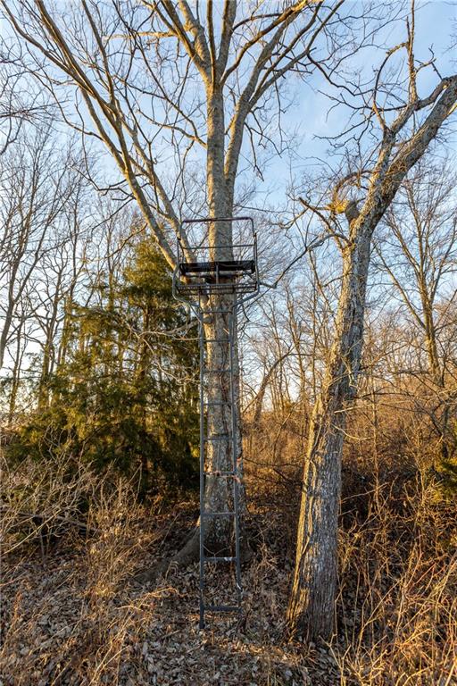 30432 1150 Road Kincaid, KS 66039 - Photo 88 of 92